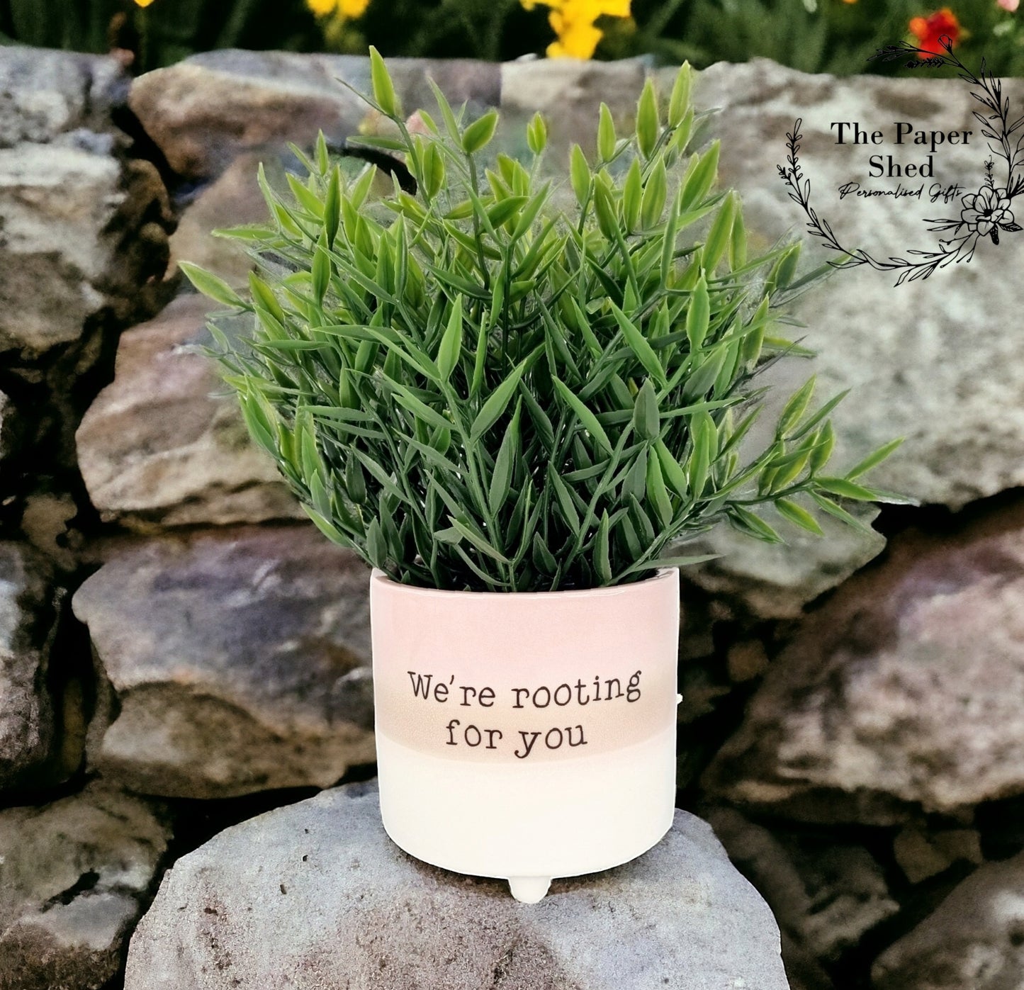 Plant Pot, Quirky, Comedy, Funny, Joke, Quote, Plants, Personalised, Own quote
