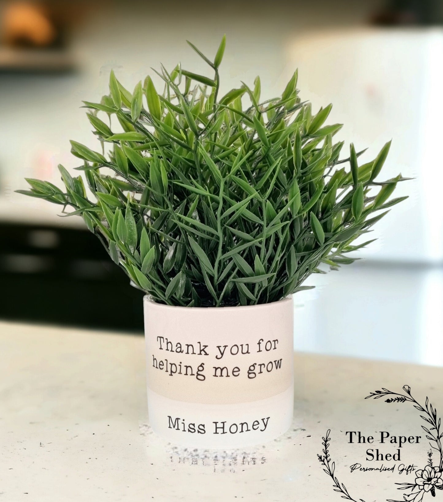 Plant Pot, Quirky, Comedy, Funny, Joke, Quote, Plants, Personalised, Own quote